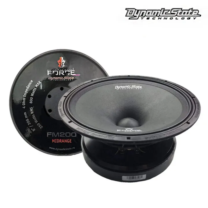 Dynamic State FM200 FORCE эстрадная акустика в Самаре