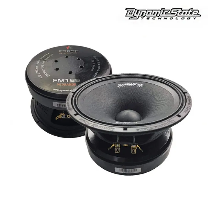 Dynamic State FM165 FORCE эстрадная акустика в Самаре