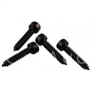 AUDIO NOVA Hexagonal screws BLK 4*20