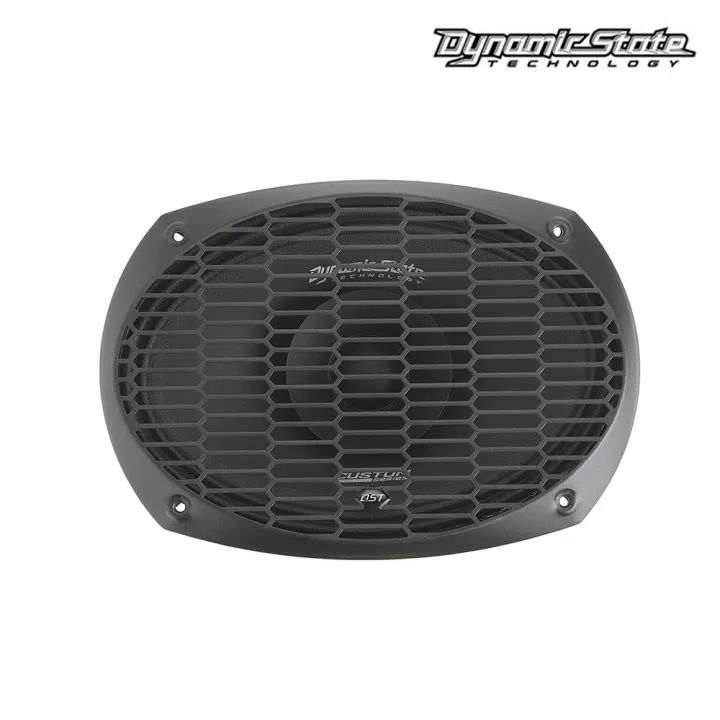 Dynamic State CM-69V Voicer эстрадная акустика в Самаре