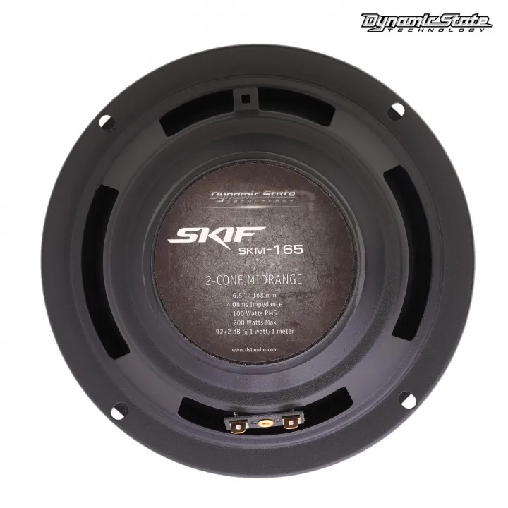 Dynamic State SKIF SKM-165 акустика в Самаре