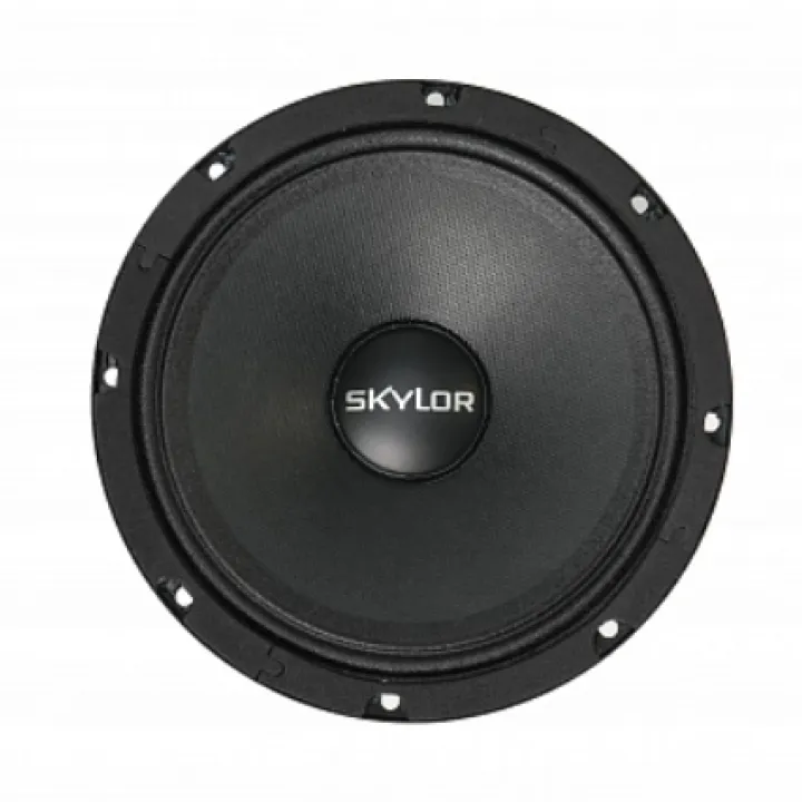SKYSOUND HARPY SSH-165 эстрадная акустика в Самаре